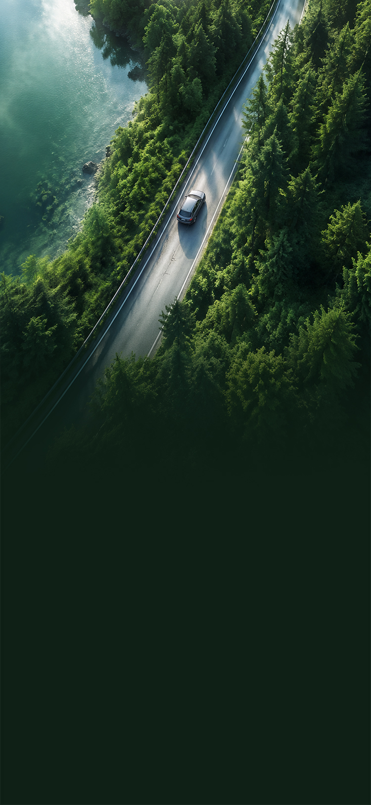 背景